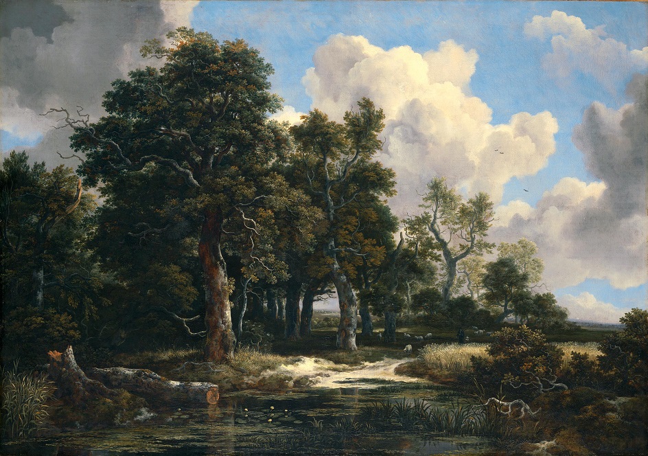 Якоб ван Рёйсдал. Картина. «Лесной пейзаж», 1660