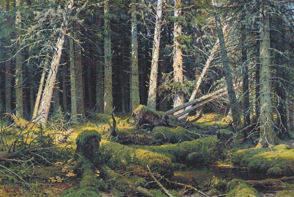 Иван Шишкин. «Бурелом», 1888