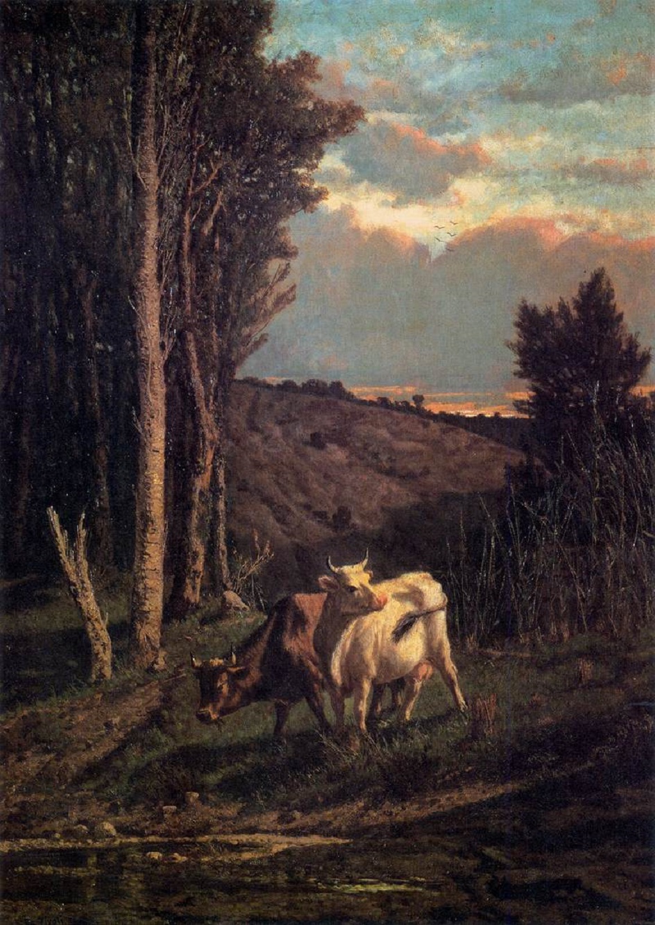 Веризм. Серафино де Тиволи. Картина «Выпас», 1859